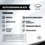 Auto Banana Blaze - Dutch Passion x3 - Imagen 2