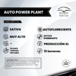 Auto Power Plant - Dutch Passion x3 - Imagen 2