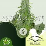 Auto Ultimate - Dutch Passion x3