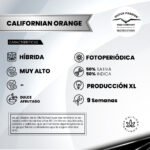 California Orange Fem - Dutch Passion x3 - Imagen 2