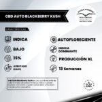 CBD Auto Blackberry Kush - Dutch Passion x3 - Imagen 2