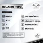Hollands Hope Fem - Dutch Passion x3 - Imagen 2
