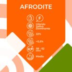 Afrodite Fem - Kannabia seeds - Imagen 2