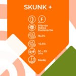 Skunk + Fem - Kannabia Seeds - Imagen 2