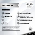 Passion #1 Fem - Dutch Passion x3 - Imagen 2