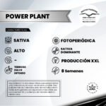 Power Plant Fem - Dutch Passion x3 - Imagen 2