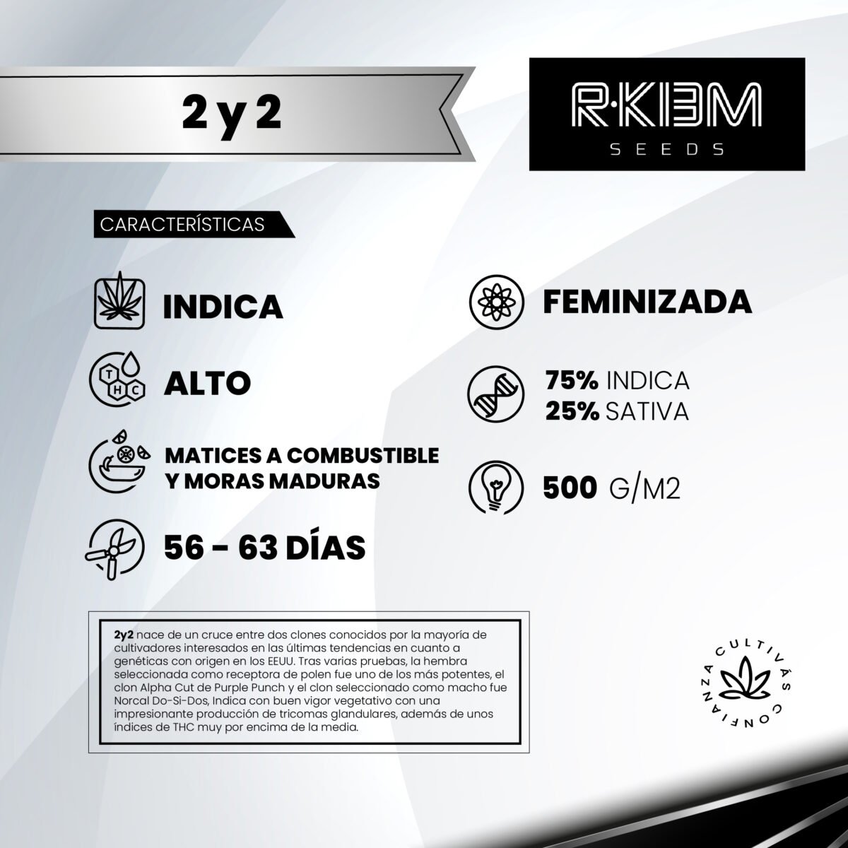 2y2  Foto  Fem R-Kiem Promo 3+3 - Imagen 2