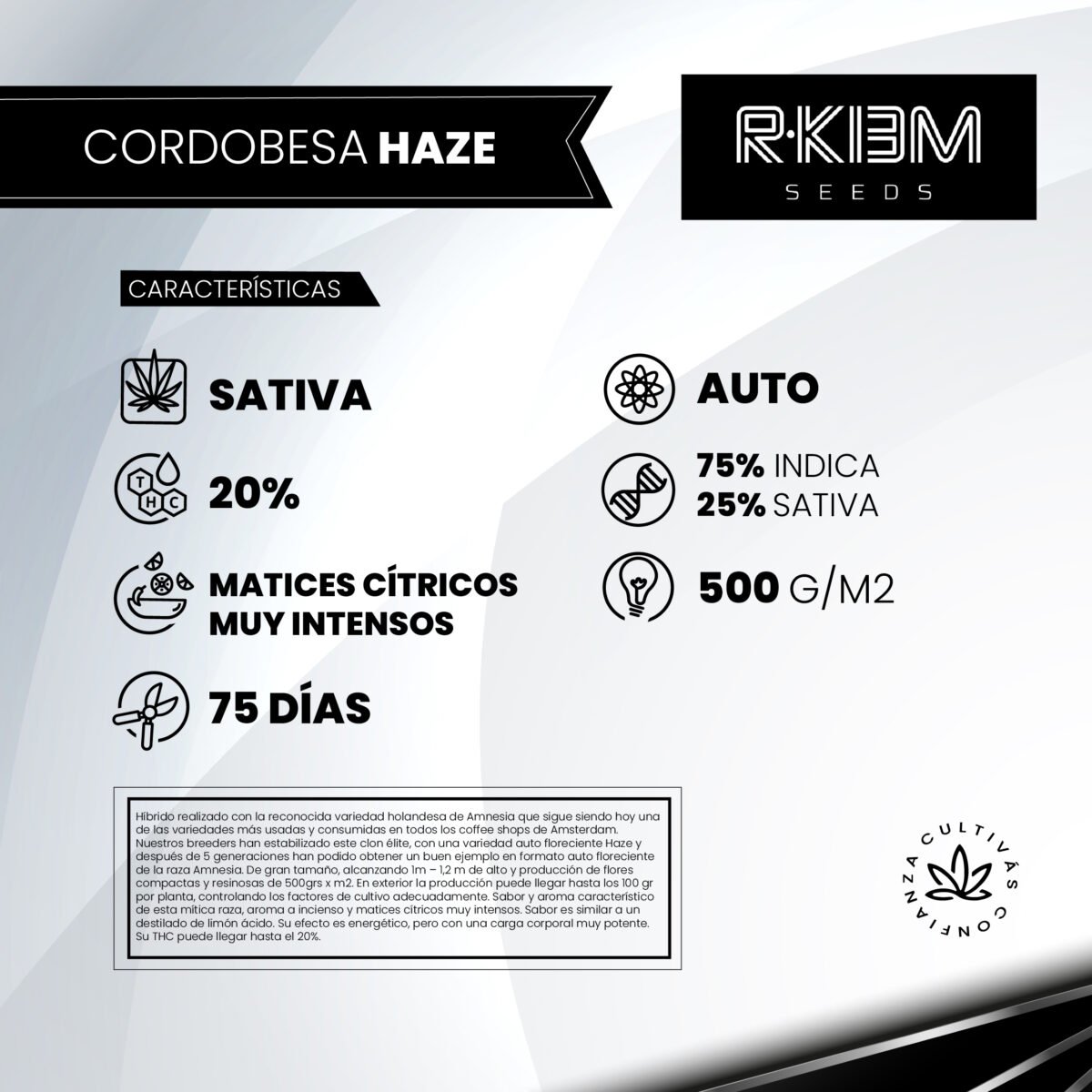 Cordobesa Haze Auto R-Kiem Promo 3+3 - Imagen 2