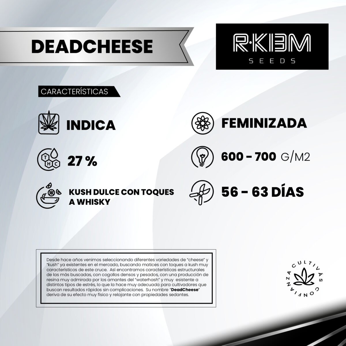 Deadcheese  Foto Fem R-Kiem Promo 3+3 - Imagen 2