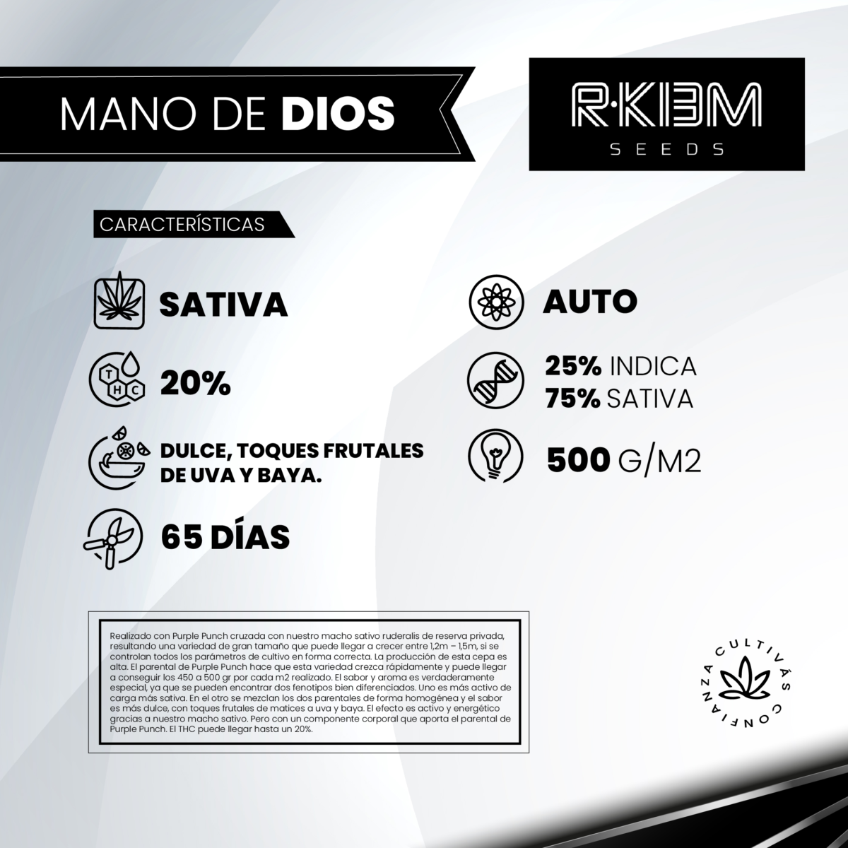 Mano De Dios Auto R-kiem x3 - Imagen 2
