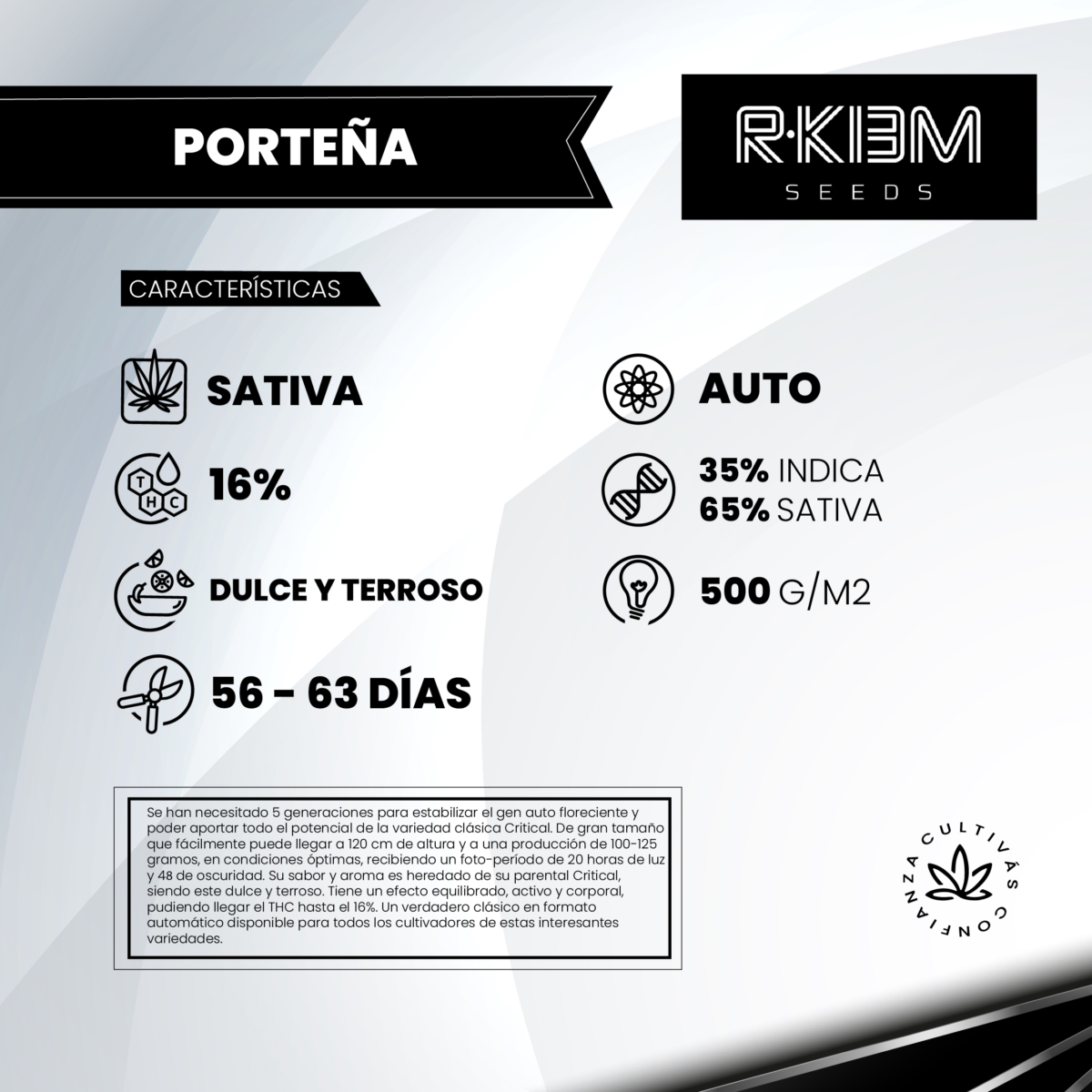 Porteña Auto R-Kiem Promo 3+3 - Imagen 2