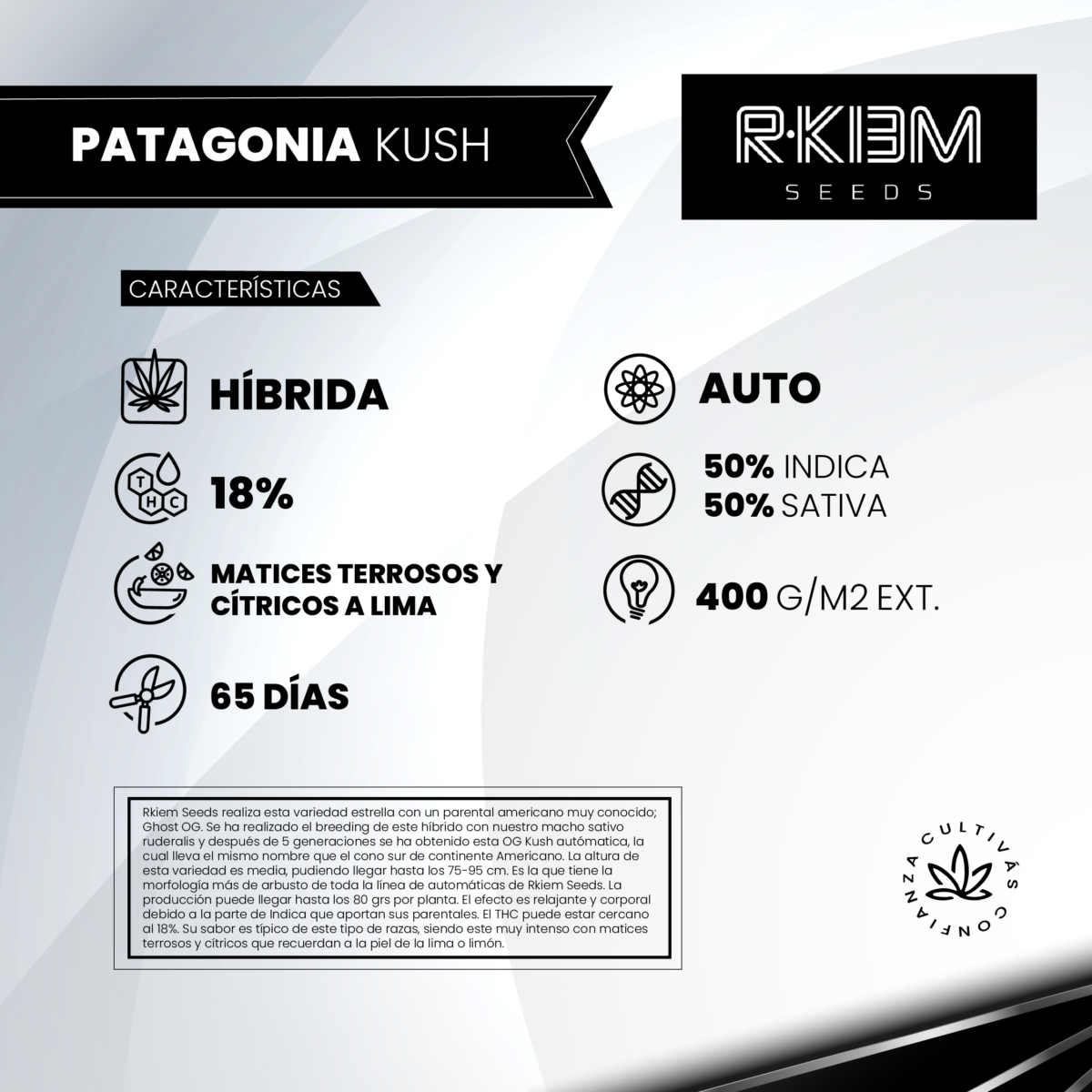Patagonia Kush Auto - R-Kiem Promo 3+3 - Imagen 2