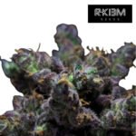 Z-Kiem  Foto  Fem - R-Kiem (Ex Harybo) Promo 3+3