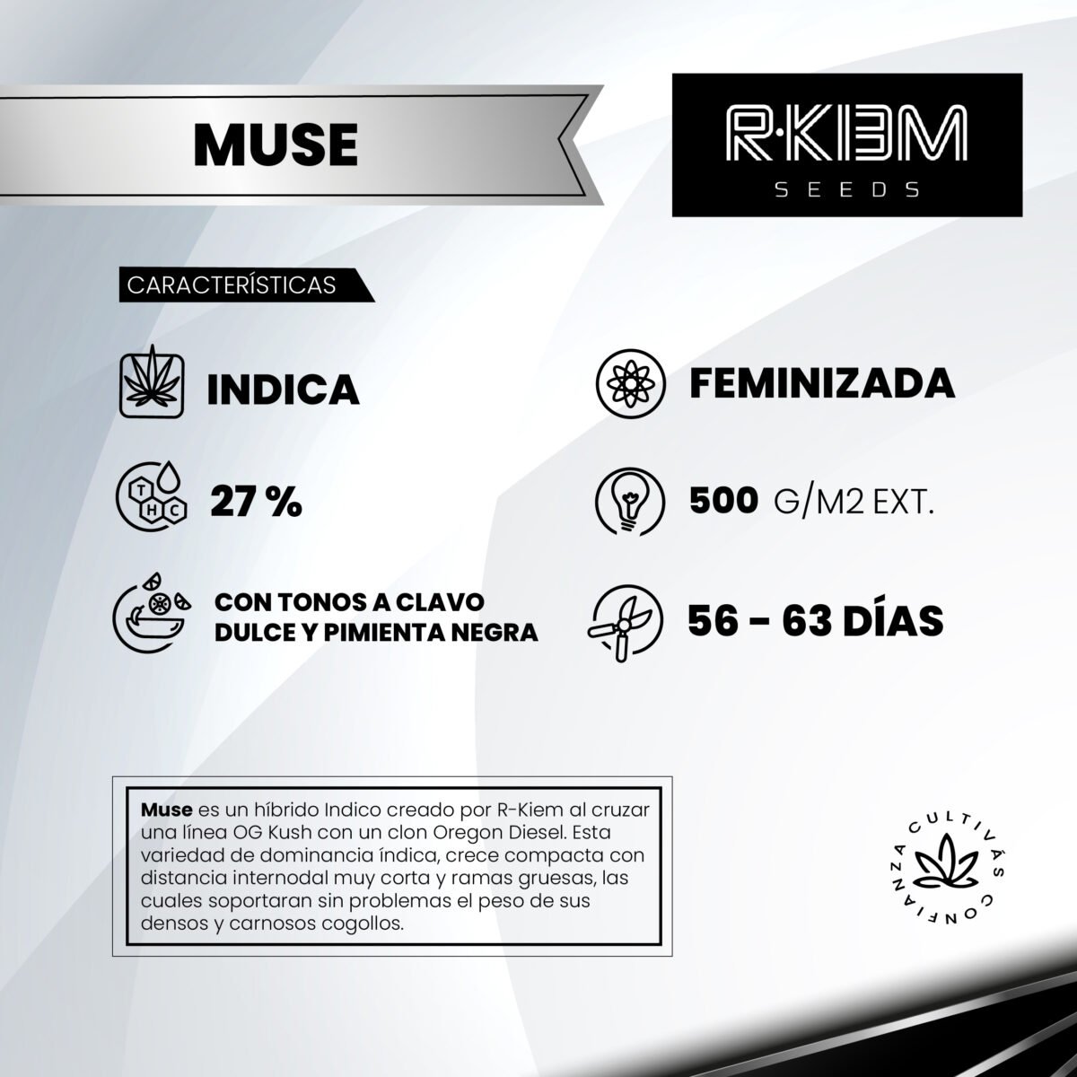 Muse Foto Fem R-Kiem Promo 3+3 - Imagen 2