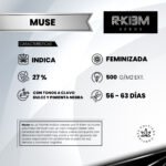Muse Foto Fem R-Kiem Promo 3+3 - Imagen 2