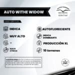 White Widow Auto - Dutch Passion x3 - Imagen 2