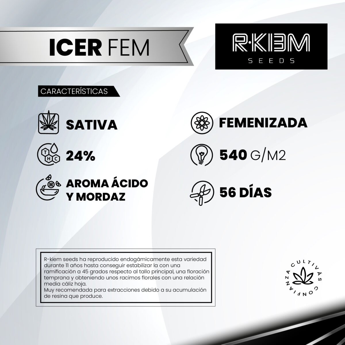 Icer Fem - R-kiem Promo 3+3 - Imagen 2