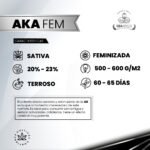 Ak Fem - Gea Seeds - Imagen 2
