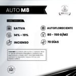 Auto M8 - Gea Seeds - Imagen 2