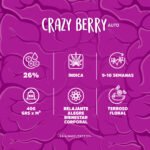 Baby Onni - Brain Melt Seeds - Imagen 3