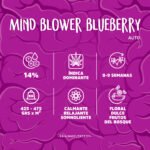 Baby Onni - Brain Melt Seeds - Imagen 2