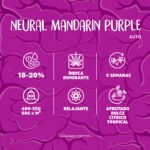 Baby Onni - Brain Melt Seeds - Imagen 4