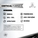 Critical Purple Fem - Gea Seeds - Imagen 2
