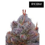 El Xupet Negre Foto Fem x3 - R-Kiem