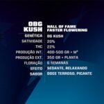 OBG Kush Faster Fem - BSF - Imagen 2