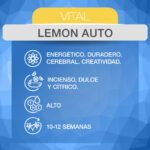 Lemon Auto - ADN Seeds - Imagen 2