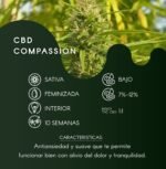 CBD Compassion Lime Fem - Dutch Passion x3 - Imagen 2