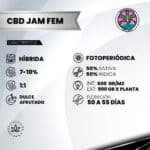 CBD Jam Fem (Fotoperiódica) - Delicious Seeds 3+1 - Imagen 2