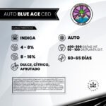 Auto Blue Ace CBD - Delicious Seeds 3+1 - Imagen 2