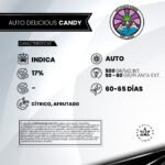 Auto Delicious Candy - Delicious Seeds 3+1 - Imagen 2