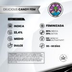 Delicious Candy Fem (Fotoperiódica) - Delicious Seeds 3+1 - Imagen 2
