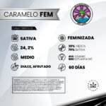 Caramelo Fem (Fotoperiódica) - Delicious Seeds 3+1 - Imagen 2