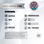 Chocobang Fem (Fotoperiodica) - Delicious Seeds 3+1 - Imagen 2