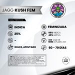 Jagg Kush Fem - Delicious Seeds 3+2 - Imagen 2