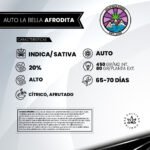 Auto La Bella Afrodita - Delicious Seeds 3+1 - Imagen 2