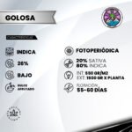 Golosa Fem (Fotoperiódica) - Delicious Seeds 3+1 - Imagen 2