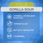 Gorilla Sour Fem X3 - ADN Seeds - Imagen 2