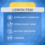 Lemon Fem x3 - ADN Seeds - Imagen 2