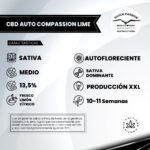 CBD Auto Compassion Lime - Dutch Passion x3 - Imagen 2