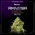 Auto Amnesia Real - Bioweed