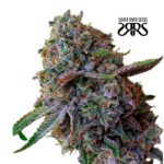 4K  Fem (Fotoperiódica) - Silver River Seeds x5