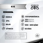 4K  Fem (Fotoperiódica) - Silver River Seeds x5 - Imagen 2