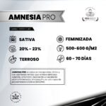 Amnesia Pro Fem - Gea Seeds - Imagen 2