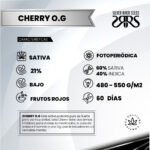 Cherry OG Fem (Fotoperiódica)- Silver River Seeds x5 - Imagen 2