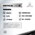 Critical CBD Fem - Gea Seeds - Imagen 2