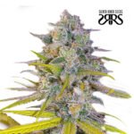 Desflash Fem (Fotoperiódica) - Silver River Seeds x5